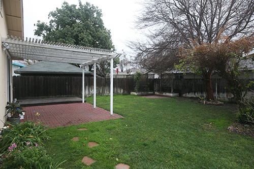 Backyard2