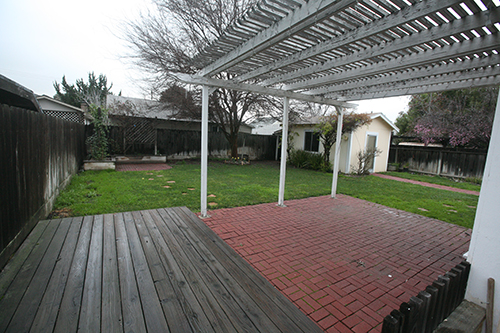 Backyard